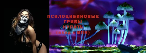 ALPHA PVP Остров