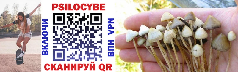 магазин  наркотиков  Северская  Псилоцибиновые грибы MAGIC MUSHROOMS 