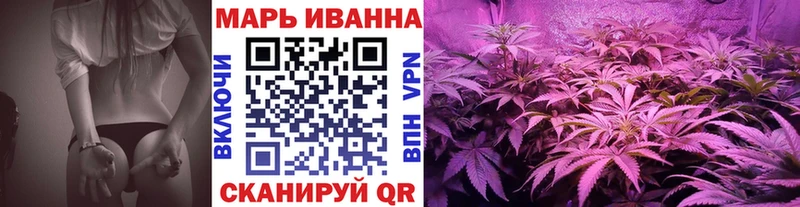 Канабис семена  Северская 
